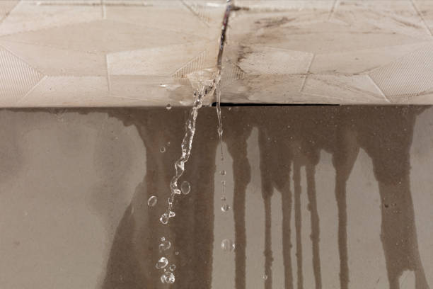 Professional Flood Damage Cleanup technician working in Lewisburg, WV